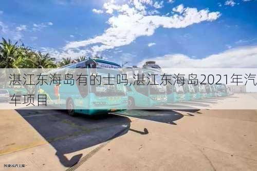 湛江东海岛有的士吗,湛江东海岛2021年汽车项目