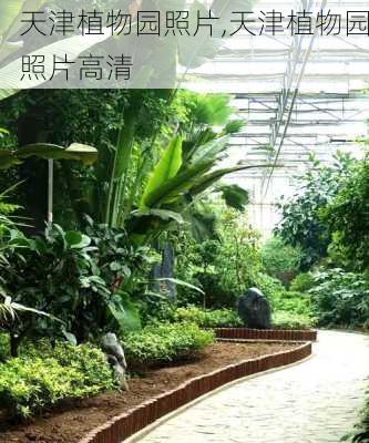 天津植物园照片,天津植物园照片高清