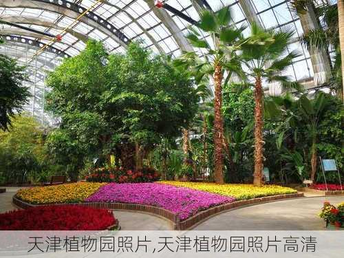 天津植物园照片,天津植物园照片高清