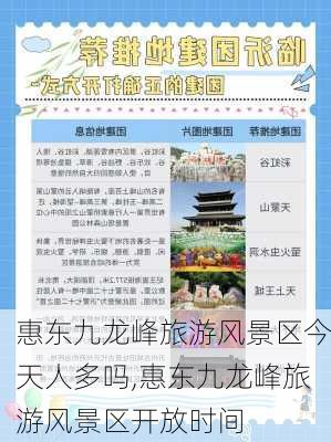 惠东九龙峰旅游风景区今天人多吗,惠东九龙峰旅游风景区开放时间