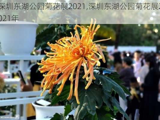 深圳东湖公园菊花展2021,深圳东湖公园菊花展2021年